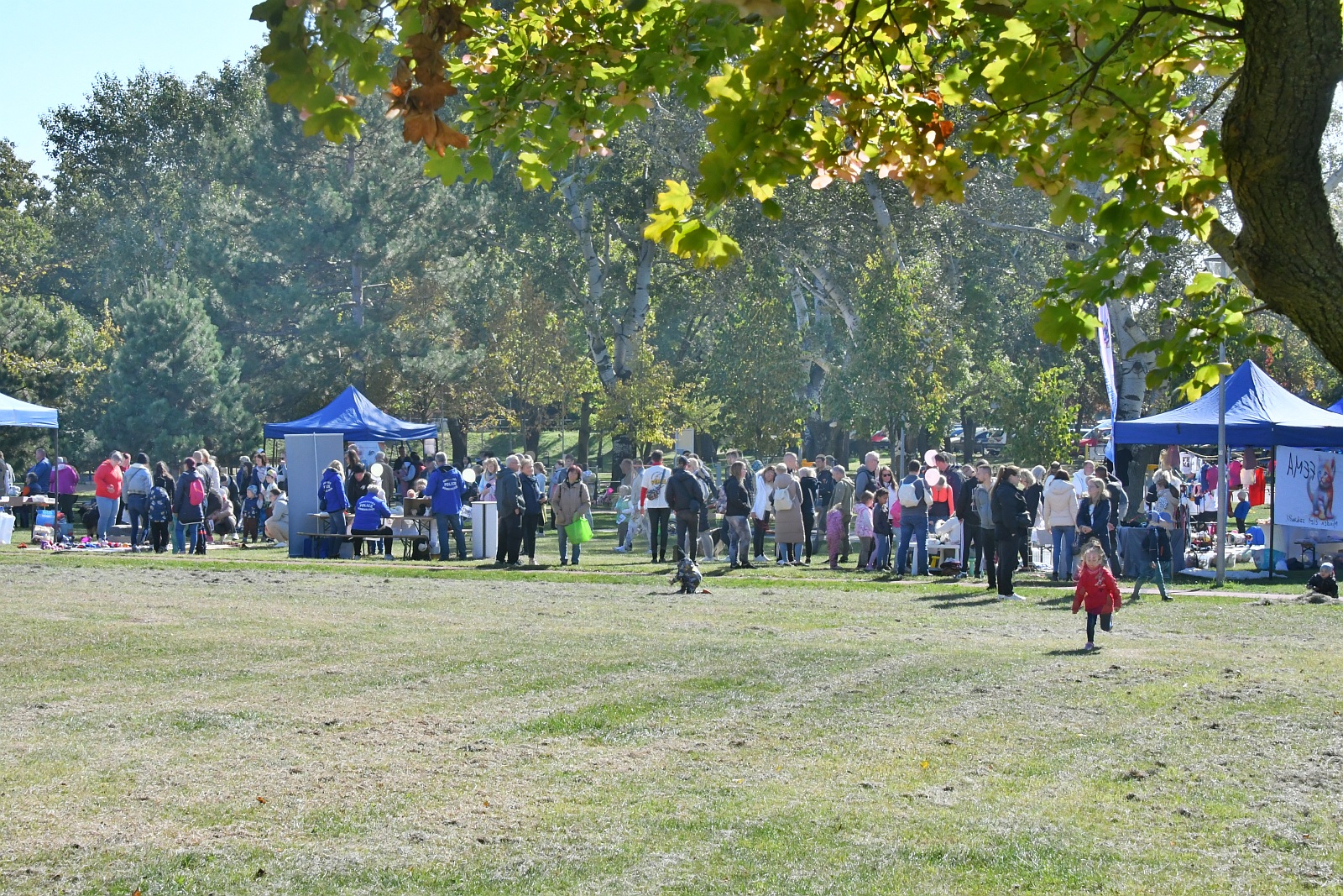 Képeken az első Fehérvári Állatvédelmi Nap
